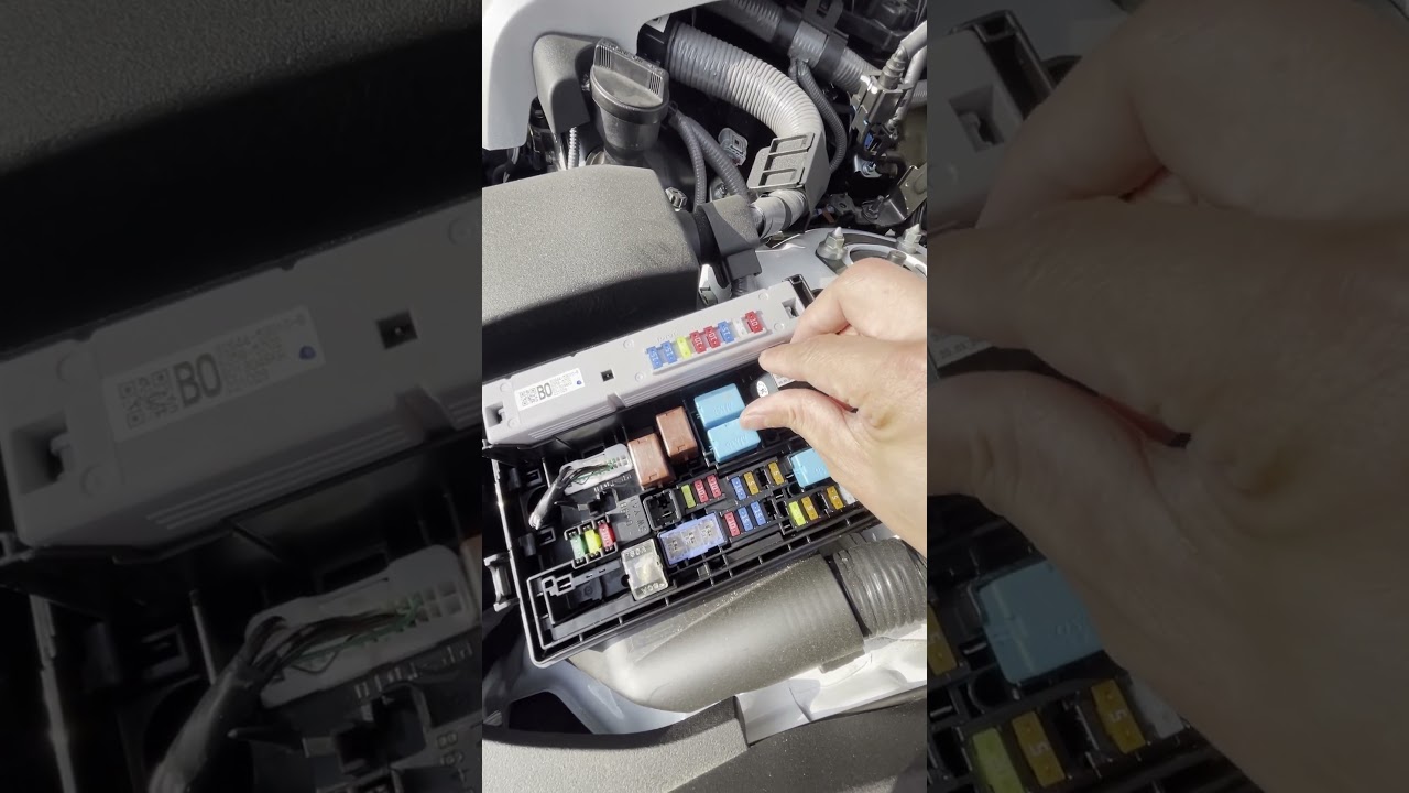 Mobilistics Remote Kill Switch Installation. 2023 Lexus IS 350 #automobile #mechanic #lexus #cars