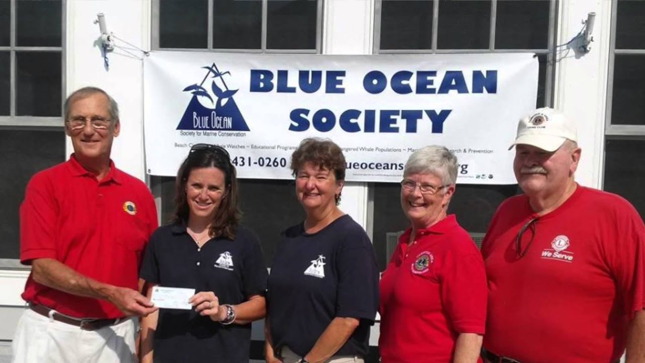 How to Get Involved - Blue Ocean Society
