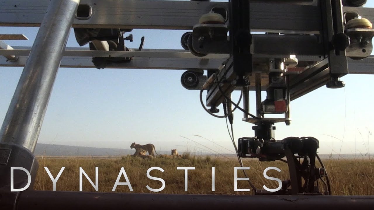 How to Film Lions | Dynasties: Behind The Scenes | The Travel Edit