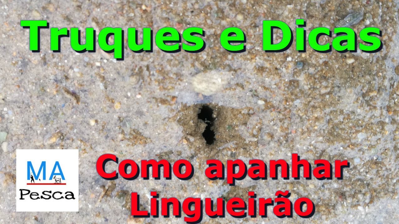 Como Apanhar lingueirão (Muergo, Longueiron, Razor Fish/Clam, Couteaux, Cannolicchi) #29