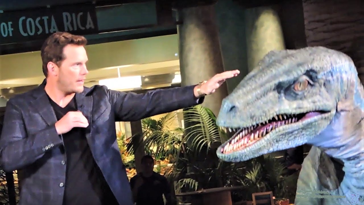 Крис Пратт в прямом эфире, Tames BLUE в Jurassic World
