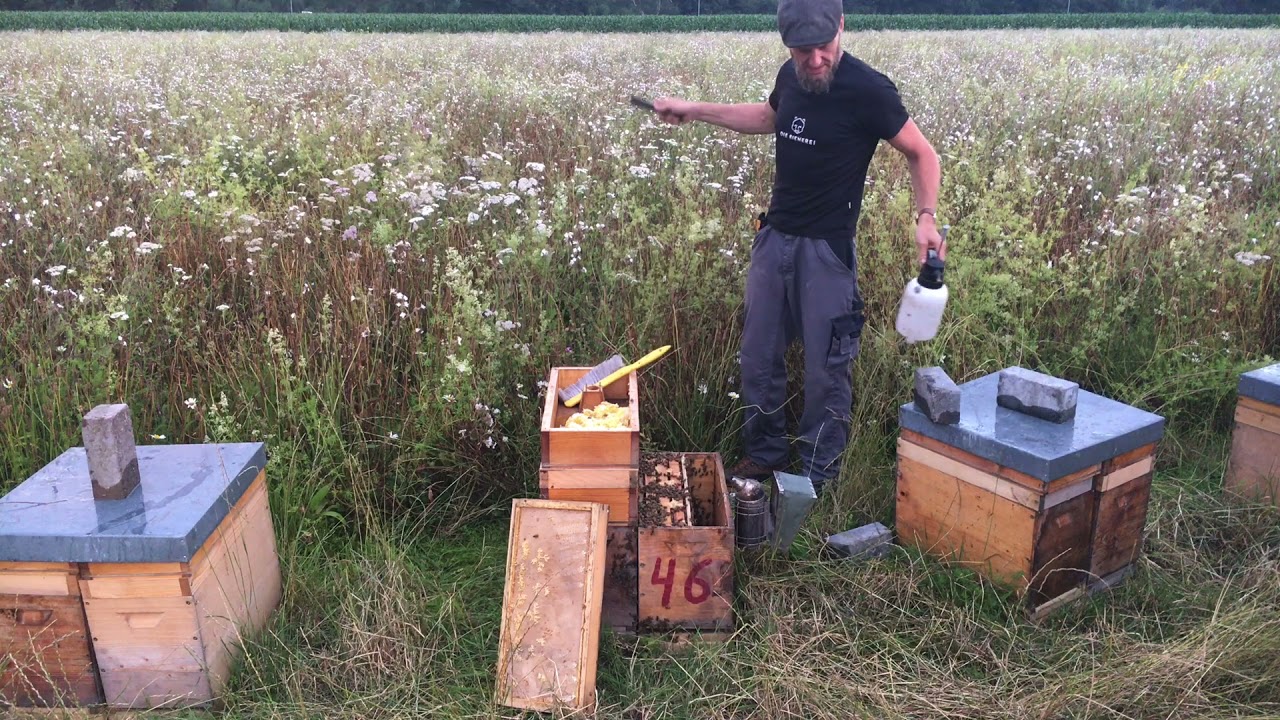 Jungbienenstand - Waben nachsetzten - Teil 2 - Imkern mit Dadant
