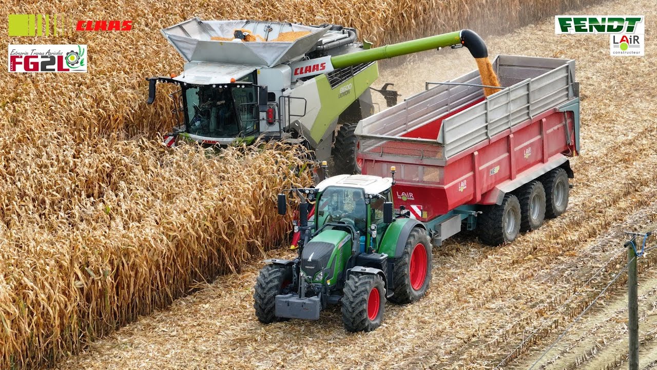 Battage de ma&iuml;s 2025 !🌽 Lexion 8600 avec un bec 10 rangs Geringhoff &agrave; l'ETA FG2L💚😍