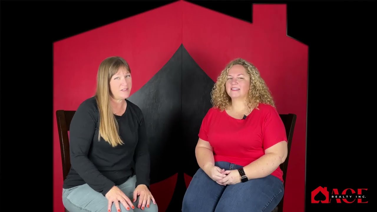 ACE Realty Inc Introduction