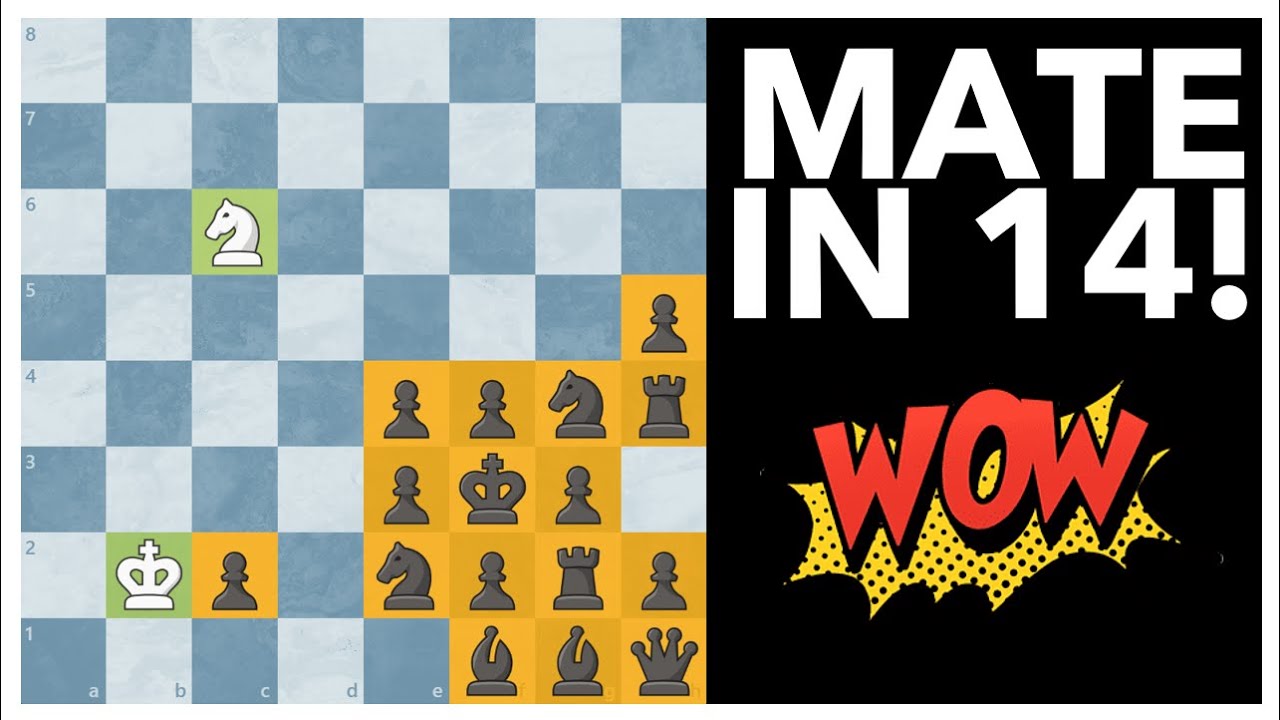 Can You Solve This Mate In 14? 🔍Cool Chess Puzzles