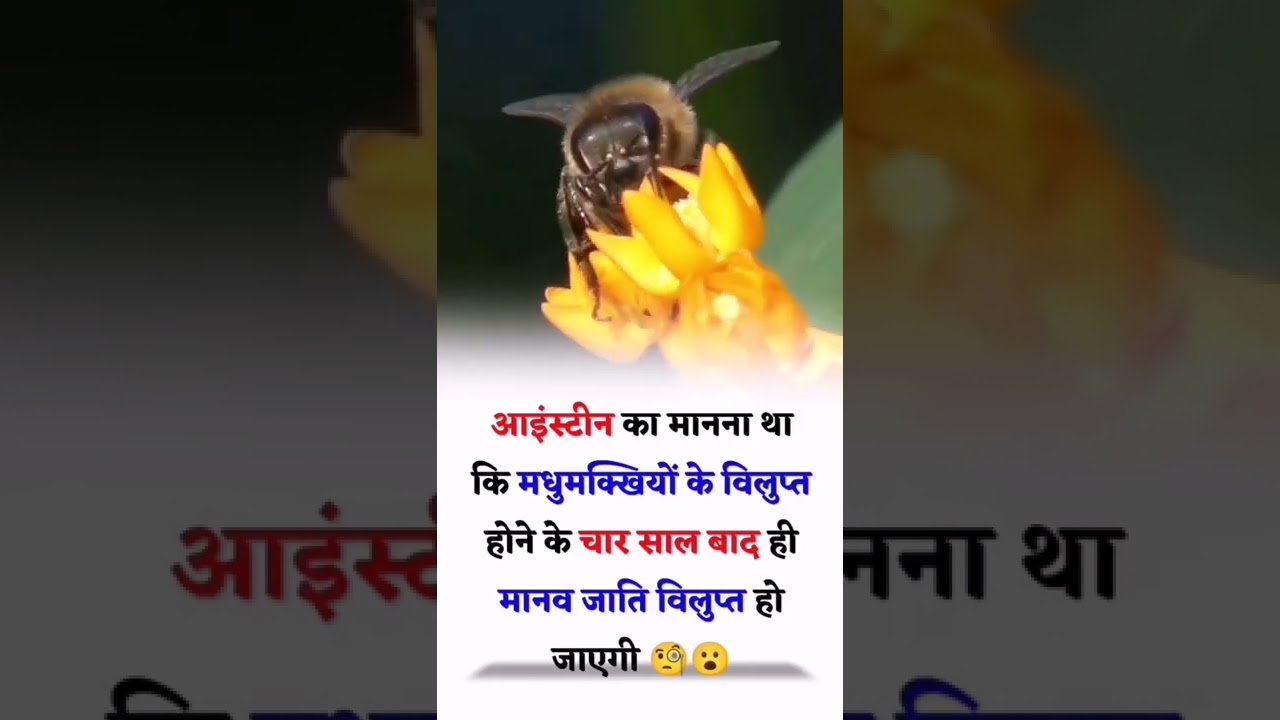 motivational video #ipsc#sschsl#bank