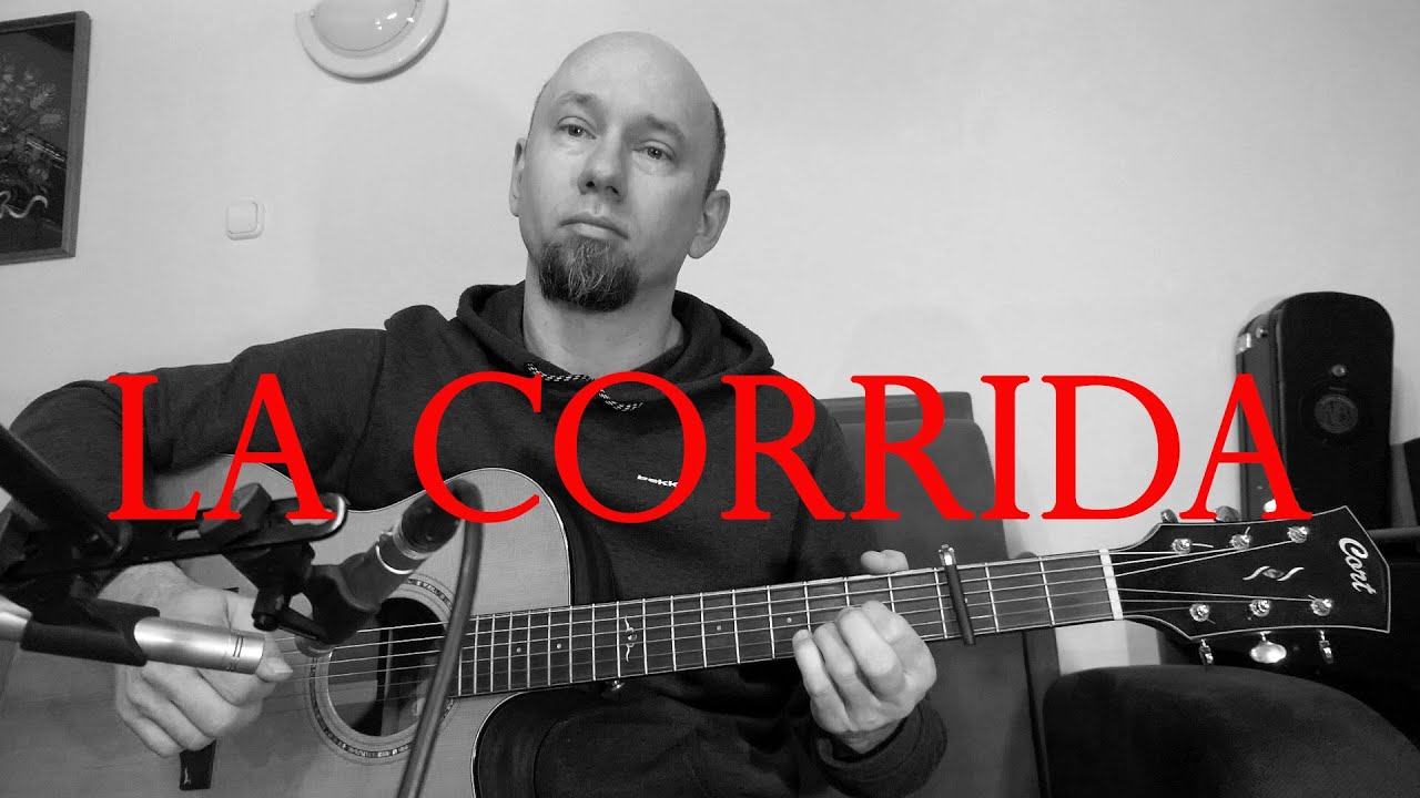 La Corrida / Francis Cabrel / 1 guitar cover