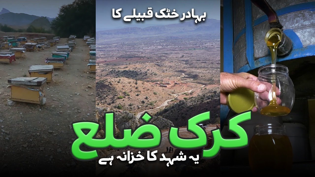 Discover Hidden Gems of Karak District: A Tour of Mountains, Honey Production, and Rich History