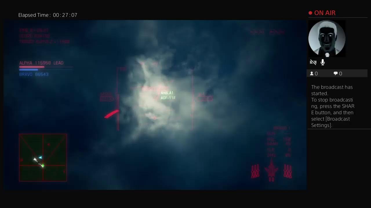 Ace combat 7 Den its a dogfight bro