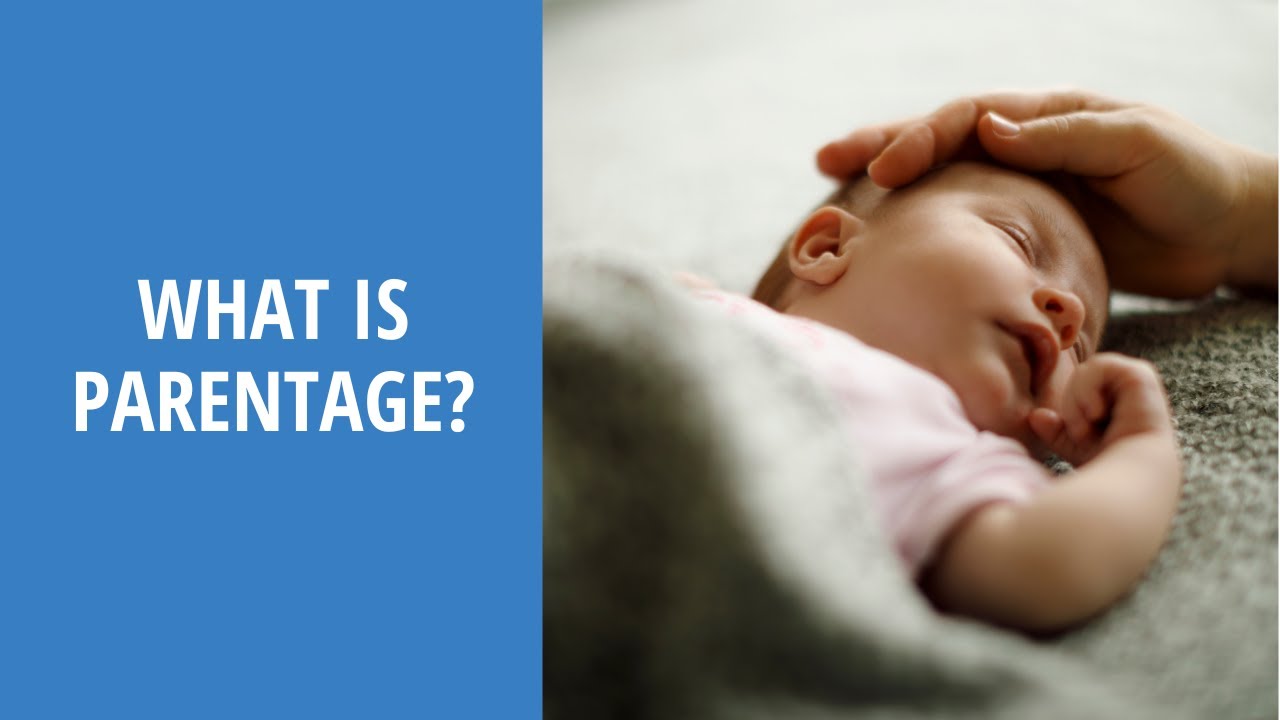 What is parentage? | Child Paternity in North Carolina