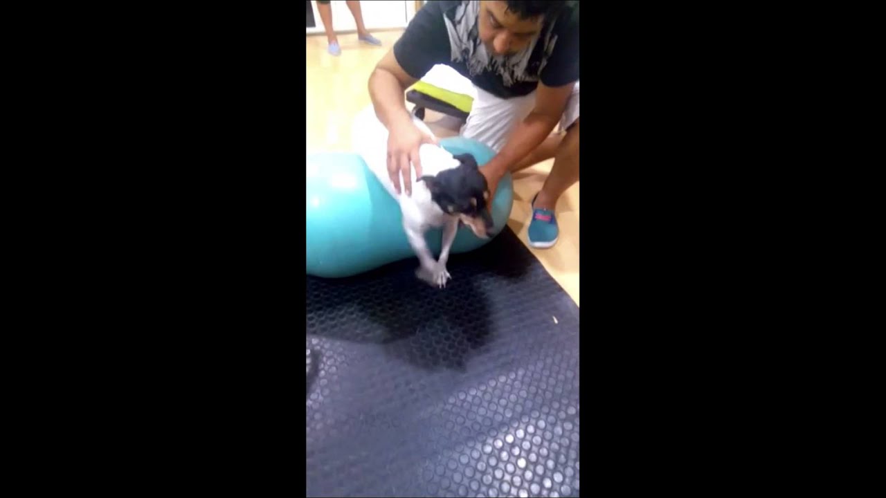 Charlie, recuperación espectacular!