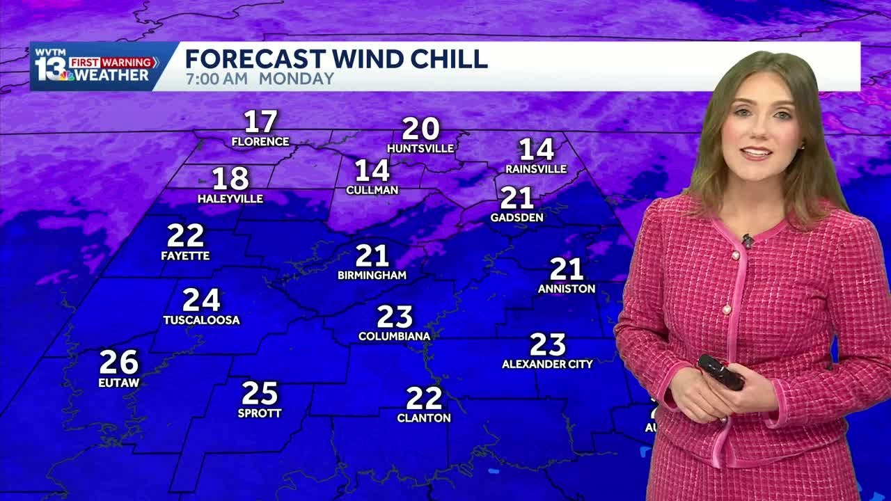 Arctic air spills into Alabama Sunday ahead of a Freeze Warning and record cold temperatures in t...