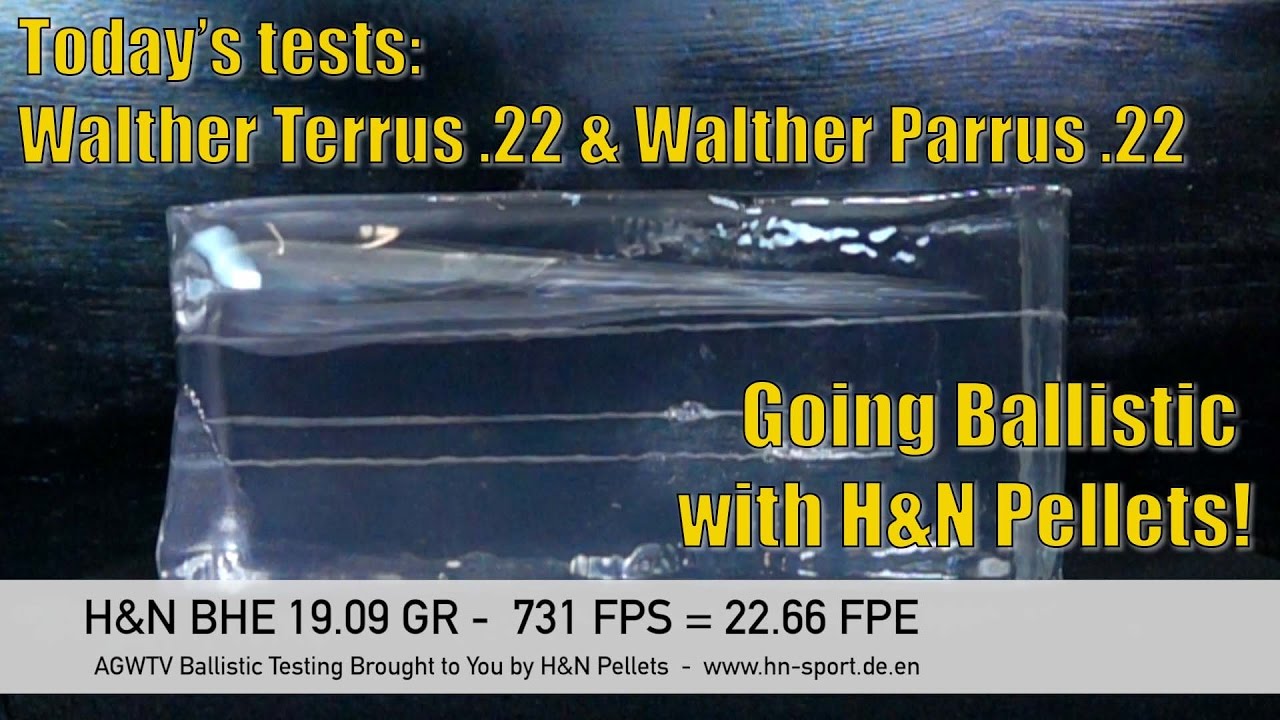 Going Ballistic - Walther Terrus and Walther Parrus - AirgunWebTV Sponsored by H&N Pellets!