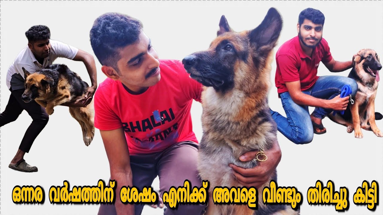 ഒന്നര വർഷത്തിന് ശേഷം എനിക്ക് അവളെ തിരിച്ചു കിട്ടി 😭❤️. I got my blacky back 