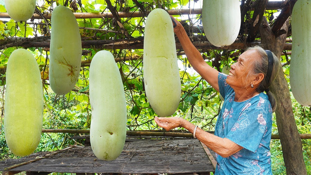 農村自製冬瓜糖，阿婆跟孫女花了2天時間，沒想到卻翻車了Grandma made homemade winter melon candy, but unexpectedly it failed｜玉林阿婆
