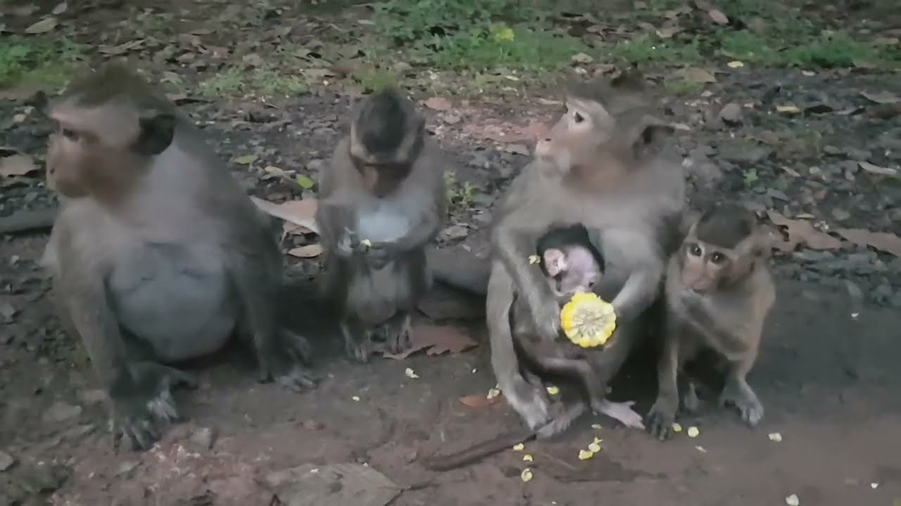 Strange acting with her baby