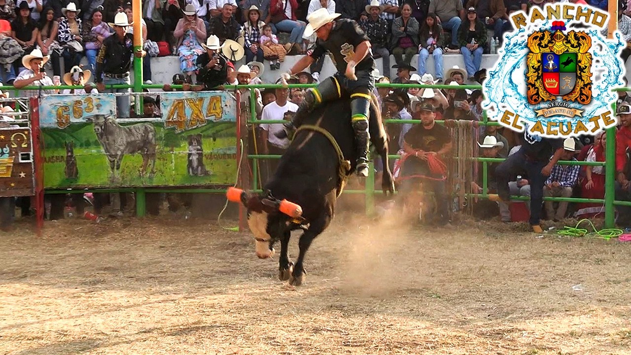 TOROS DE RANCHO EL AGUAJE DE SERGIO PELAYO!! JARIPEO EN COMANJA MICHOACAN 2026