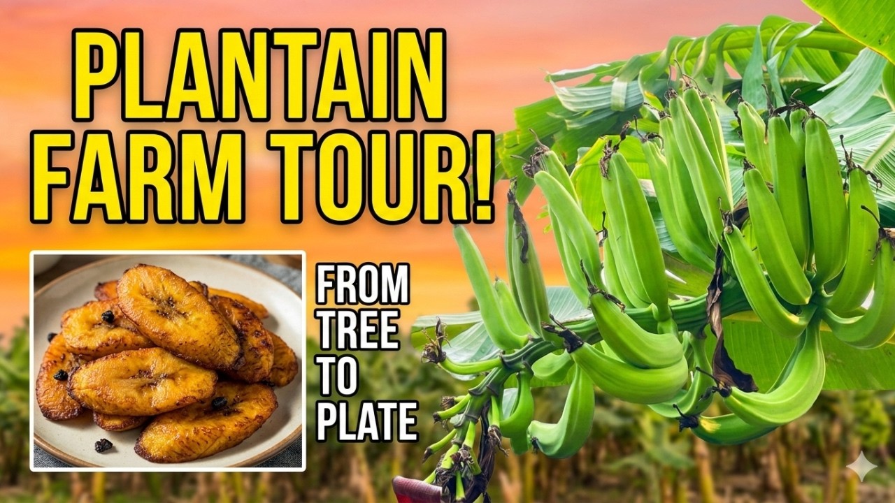 Farm tour