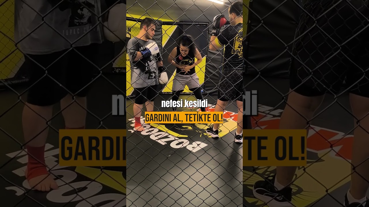 #mma #istanbul #kickboks #spor #boks #muaythai #ufc #pendik