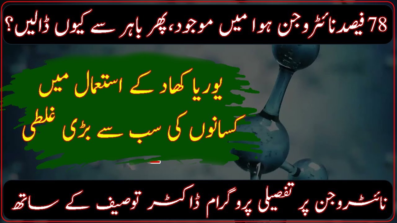 Usage of Nitrogen|How to calculate urea fertilizer|کسان بھائی یوریا کھاد کا درست استعمال نہیں کر رہے