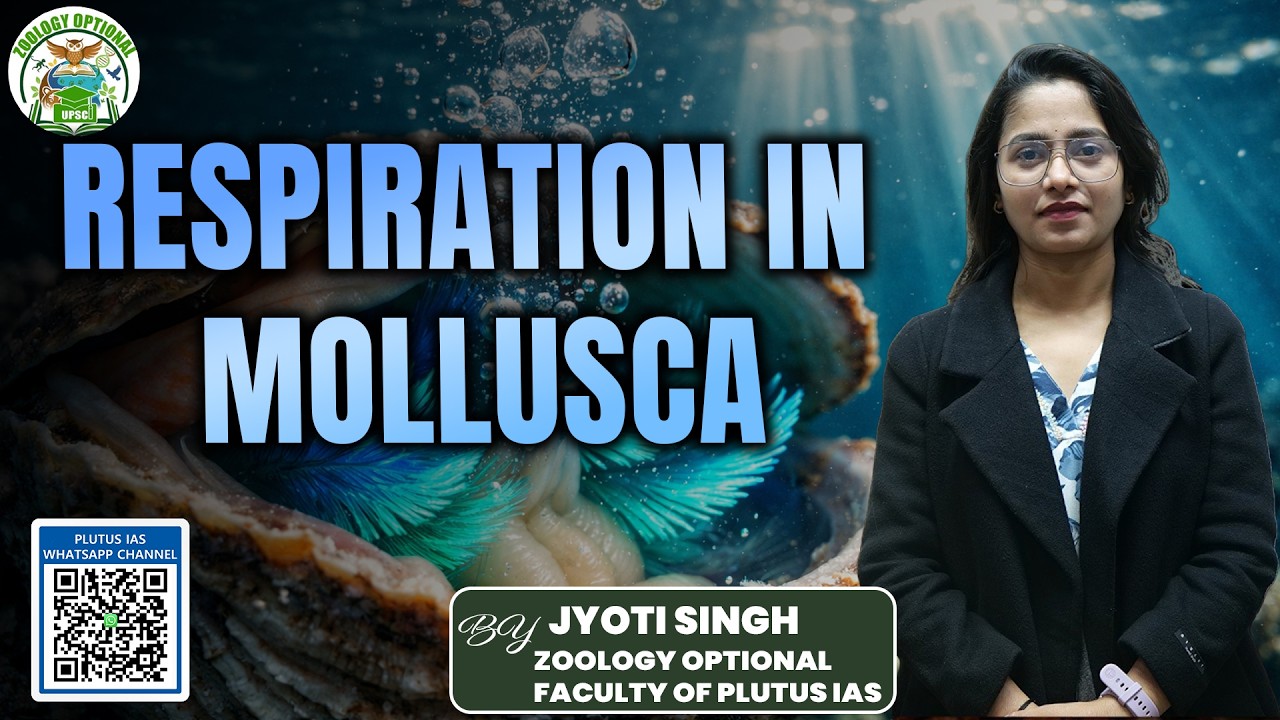 Respiration in Mollusca | Zoology Optional | By Jyoti Mam | PLUTUS IAS