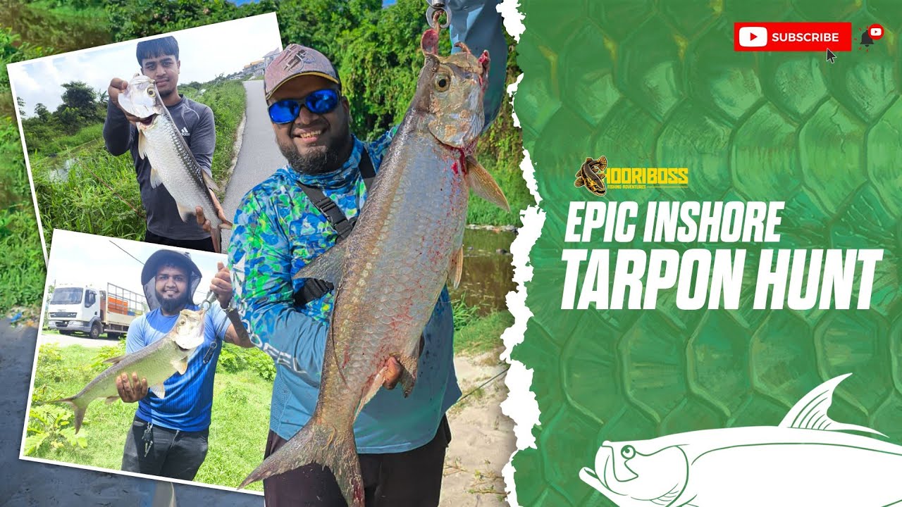 EPIC INSHORE TARPON HUNT || MONSTER CATCHES ||