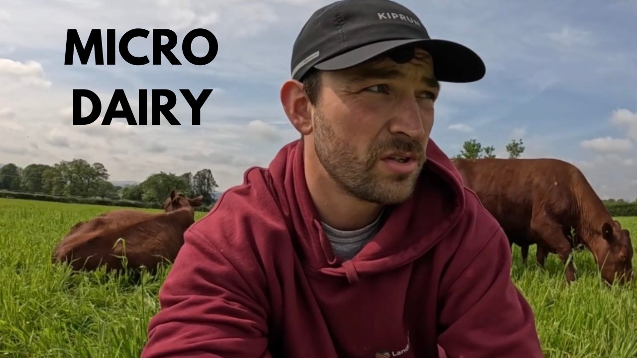 Why We Started a Micro Dairy in North Wales