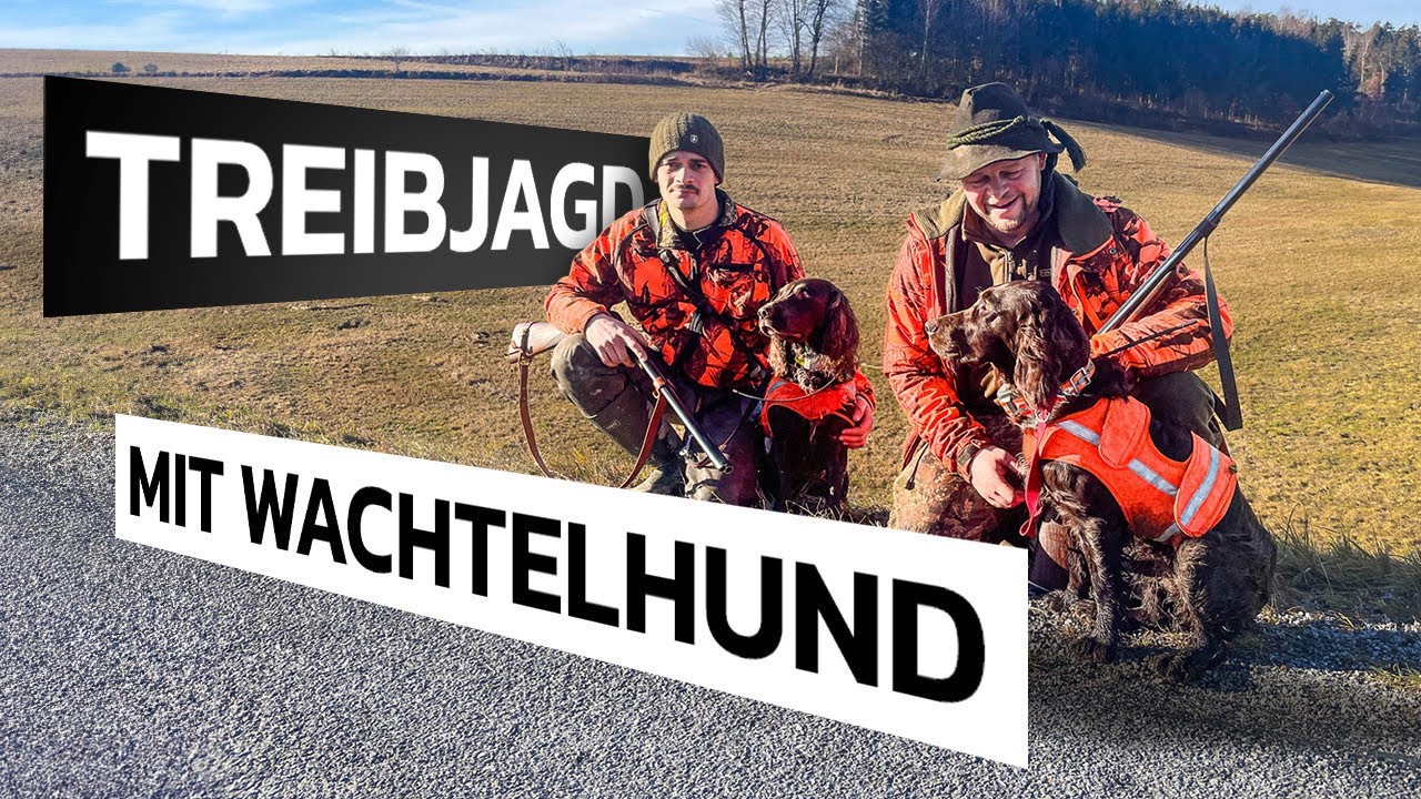Niederwild Treibjagd in Österreich - Ihr seid hautnah dabei - Weidmannsheil! #nordjagd