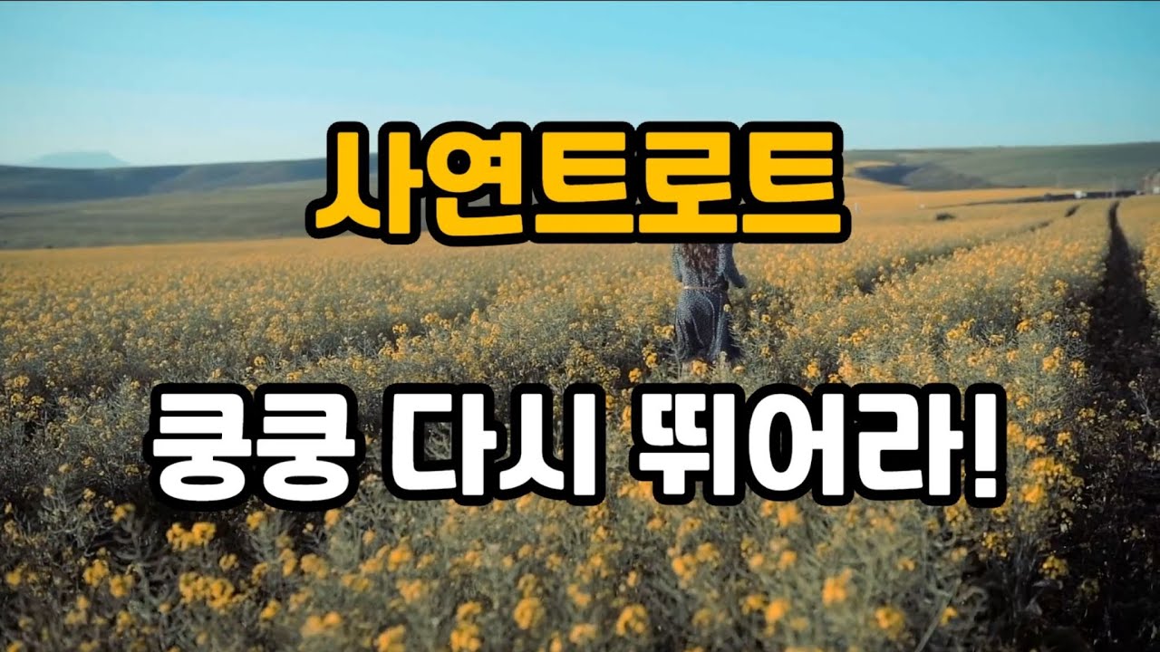 쿵쿵 다시 뛰어라 (사연트로트)