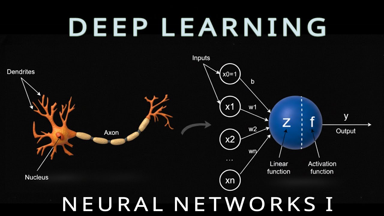 Neural Networks from Scratch - First Principles of AI