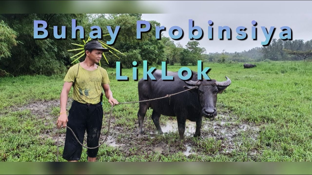 Buhay Probinsiya LikLok part 1