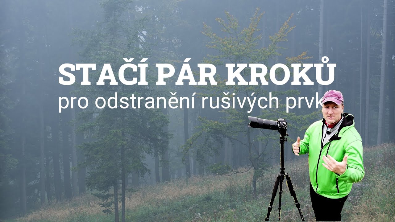 Stačí pár KROKŮ doleva nebo doprava pro odstranění rušivých prvků | Kompozice v lesní fotografii