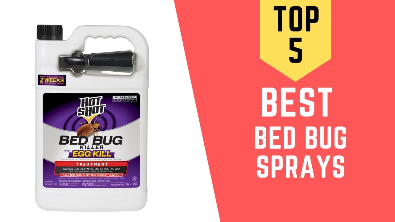 The Top 5 Best Bed Bug Sprays Reviews 2021