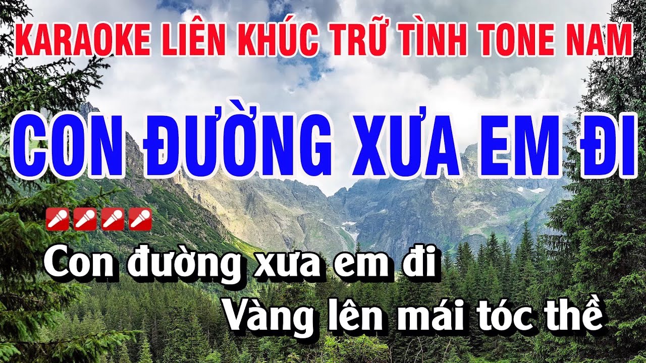 Karaoke Liên Khúc Trữ Tình Tone Nam Nhạc Sống | Con Đường Xưa Em Đi | Hoàng Luân