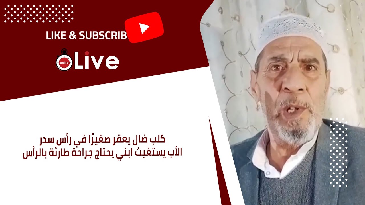 كلب ضال يعقر صغيرًا في رأس سدر.. الأب يستغيث ابني يحتاج جراحة طارئة بالرأس