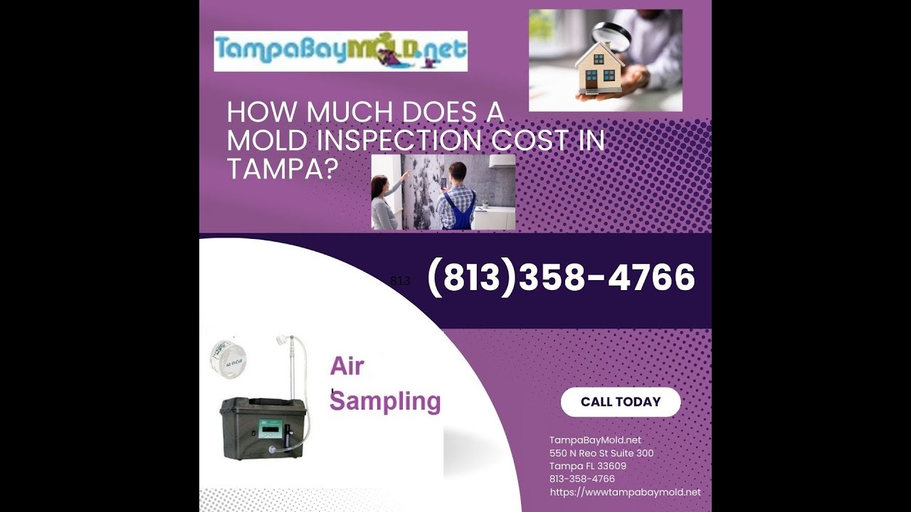 Mold Inspection Services Davis Islands 813-358-4766  TampaBayMold.net