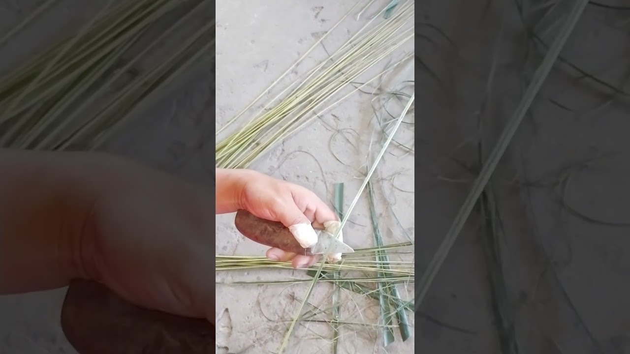 Coconut leaves,broom making under process!😍 #broom #coconut #leaves