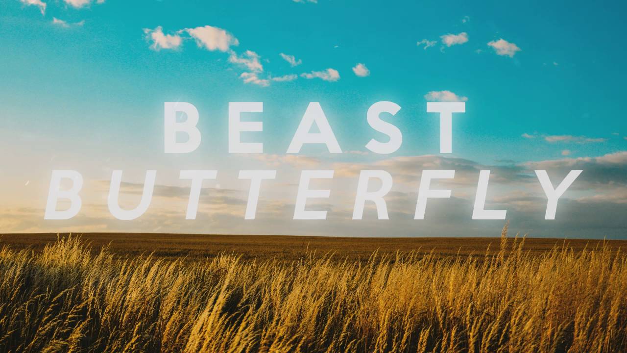 BEAST (비스트) - Butterfly - Piano Cover 피아노