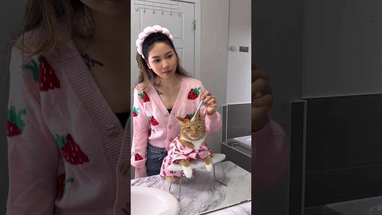 Cat spa day - skincare routine #shorts28 #shorts30 #viral #catshorts #spaday