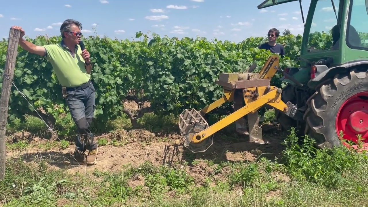Démo de travail du sol en viticulture