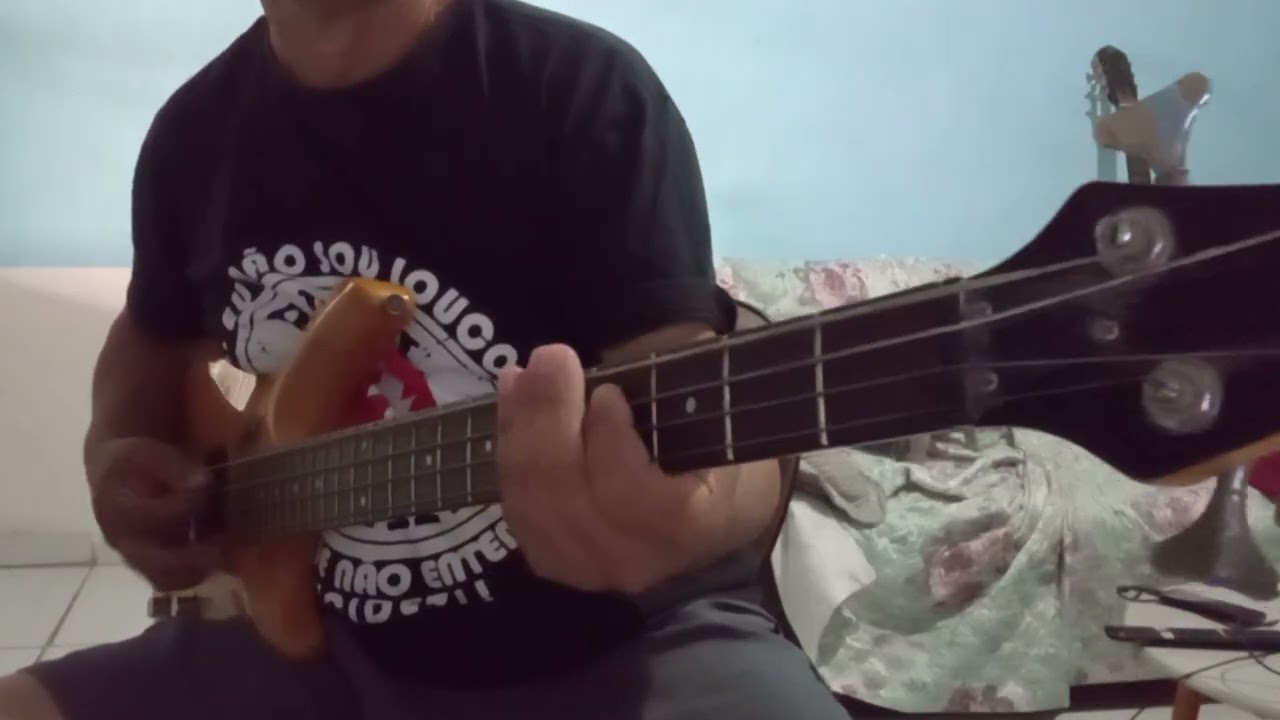 THE OFFSPRING...the kids arent alright...Bass cover.