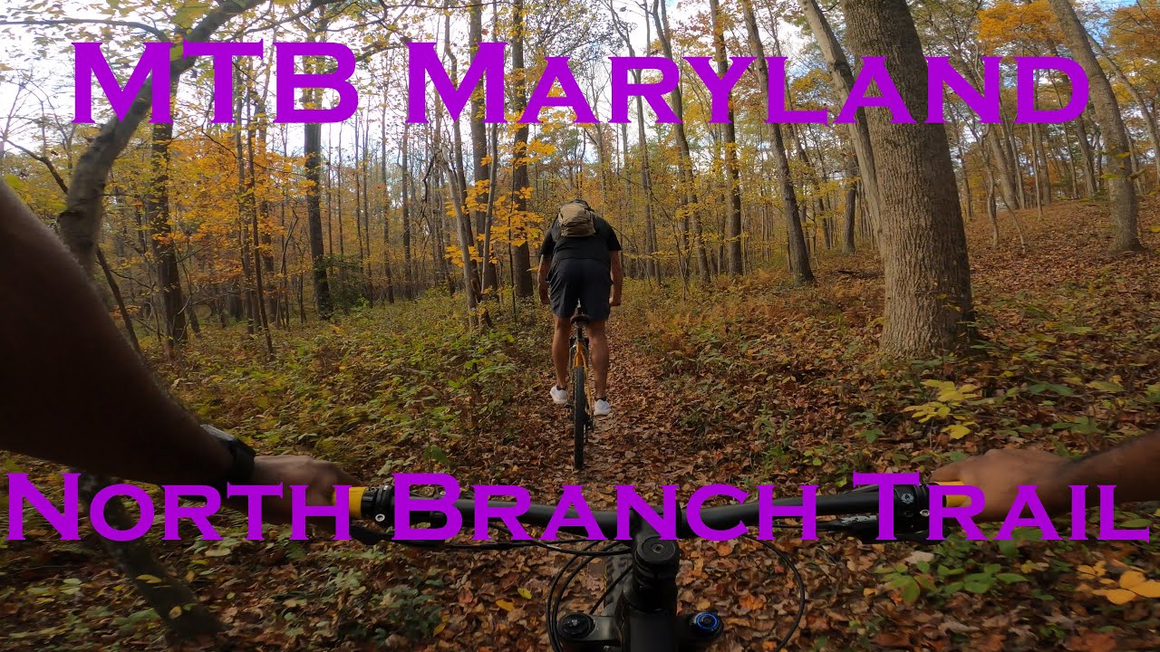 Fall Mountain Biking in Maryland | Trek Roscoe 8 | North Branch Trail