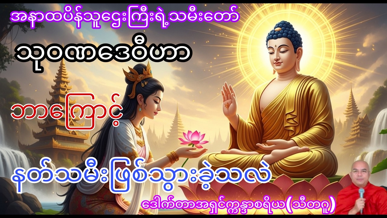 အနာထပိန်သူဌေးကြီး၏ သမီးတော်သုဝဏဒေဝီဟာ ဘာကြောင့် နတ်သမီးဖြစ်သွားခဲ့သလဲ?