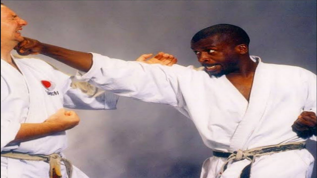 Elwyn Hall Karate Fights