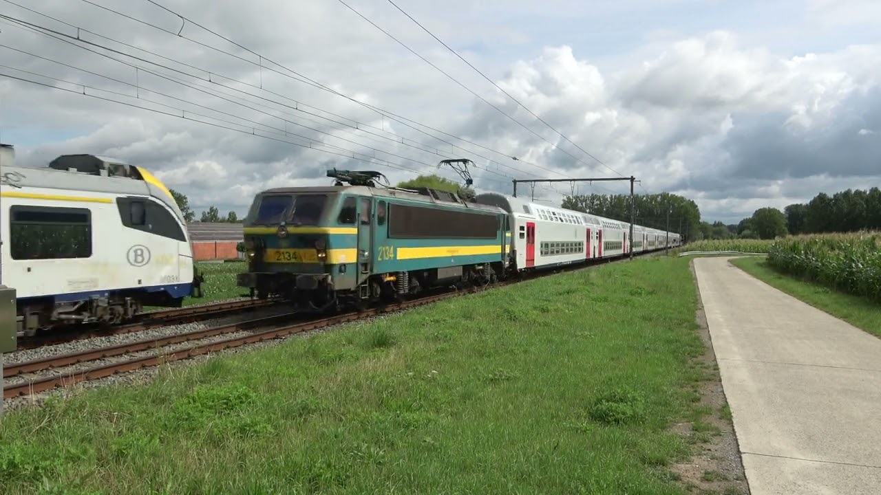 Treinen in Terhagen/Herzele 4-8-2023