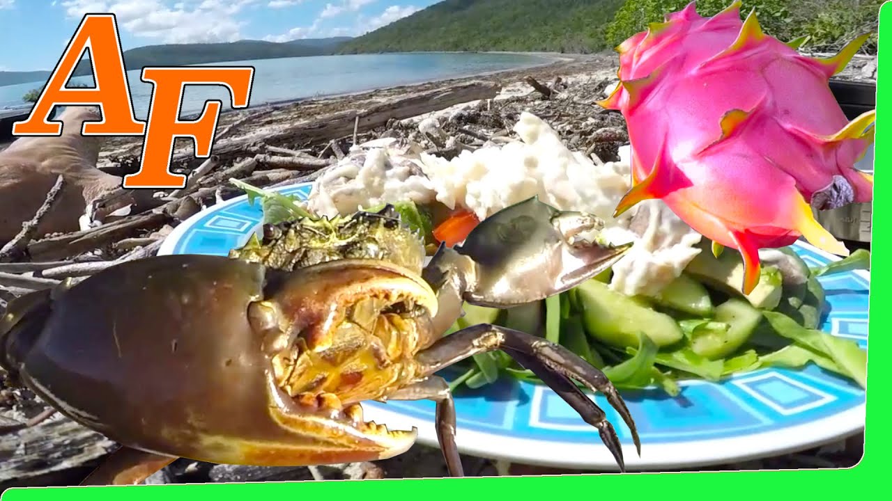 Catch and Cook Crab Salad w Blue Crab & Mud Crab & damn Delicious Dragon Fruit EP.395