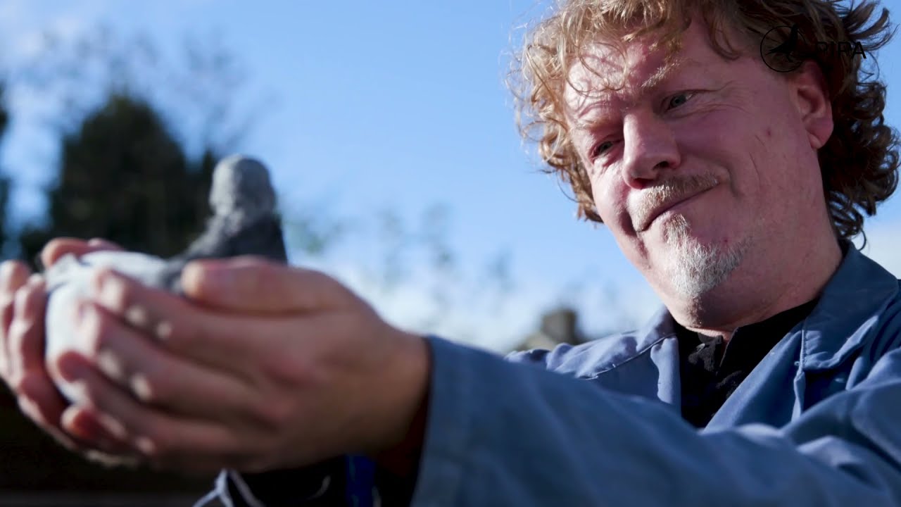 PIPA TV: Arie Dijkstra (NL)