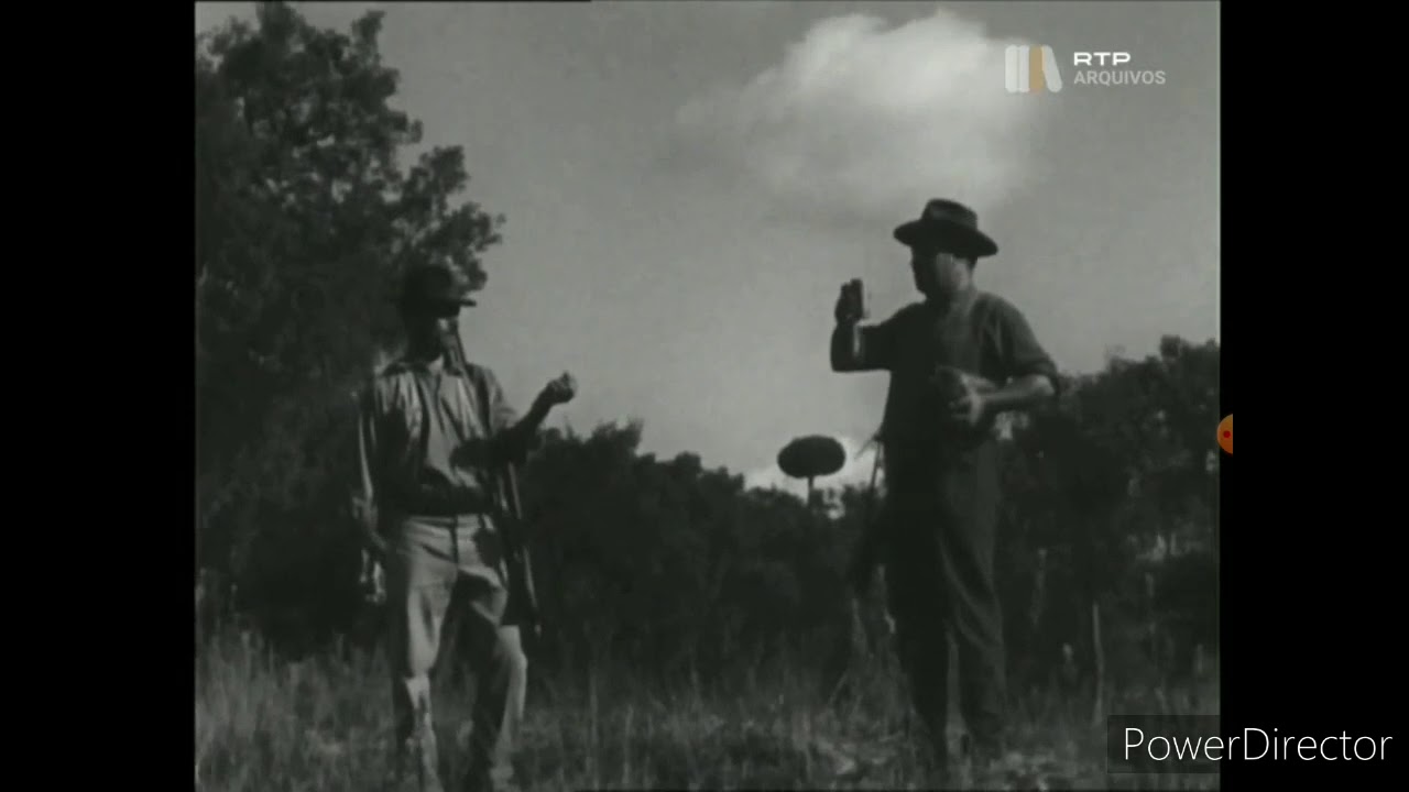 Reportagem sobre a caça ao pombo-torcaz feita pela RTP em 1963