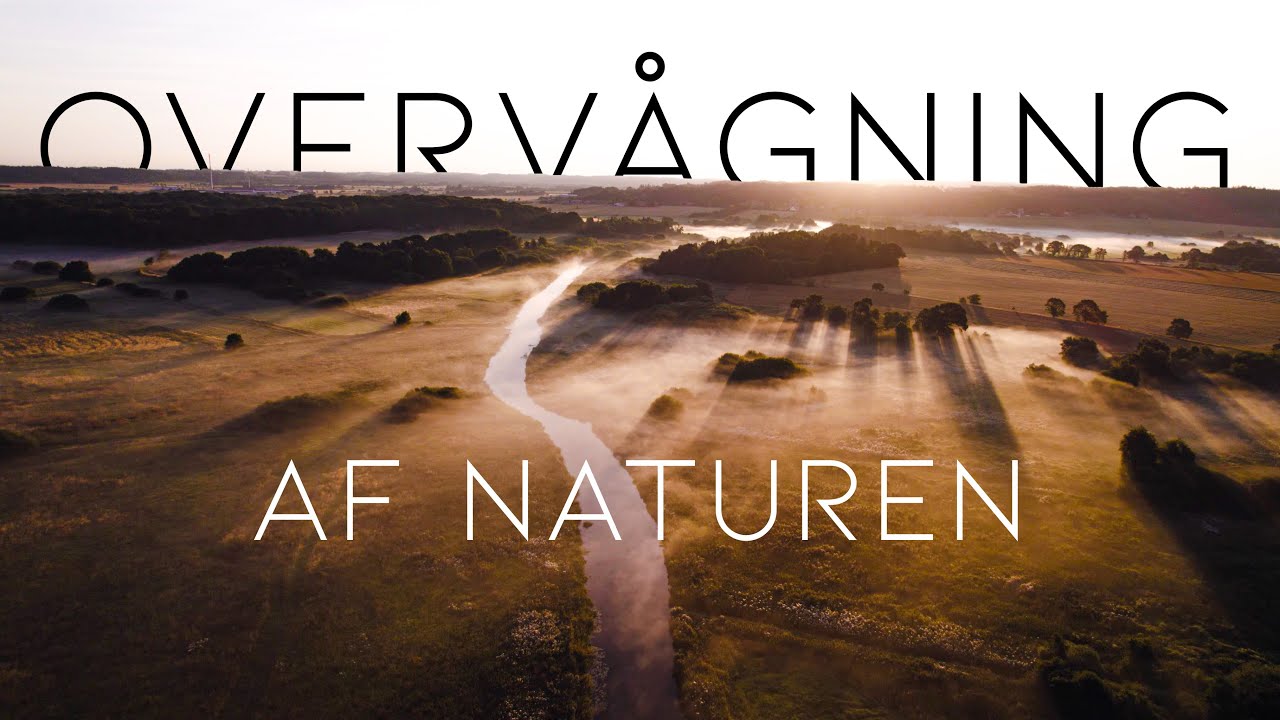 Overvågning og forvaltning af biodiversitet i Danmark