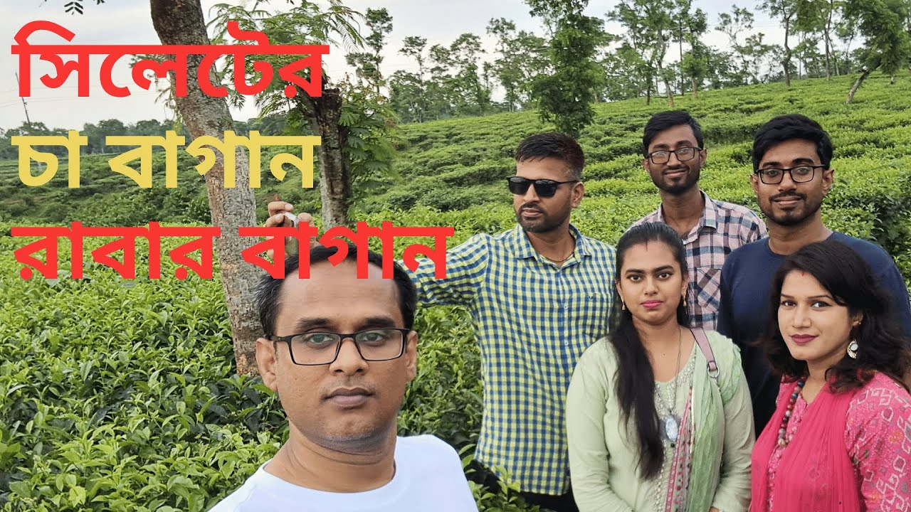 লাল চান্দ টি এস্টেট II শাহজীবাজার রাবার বাগান II TEA GARDEN AND RABBER GARDEN #sylhet  #teagarden